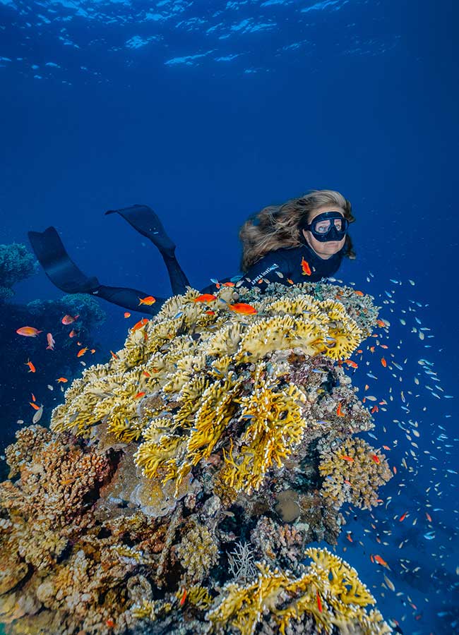 Snorkeling Mar Rosso