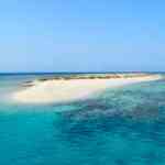 DIVING_hamata immersioni e snorkeling mar rosso